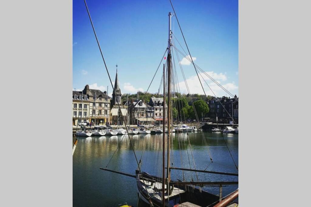 Une Pause Chez Julien, Appartement Lumineux Et Idealement Situe! Honfleur Kültér fotó
